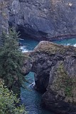 USA oregon coast arch4.JPG